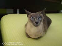 IMG_20200720_113043.jpg