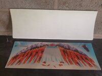IMG_20200729_141308.jpg