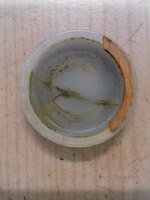 20200810_181346.jpg