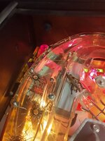 IMG_20200812_213710516.jpg