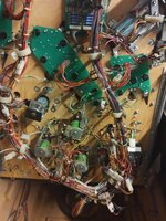 IMG_20200812_212715039.jpg