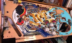 IMG_0519.jpg IMG_0519.jpg