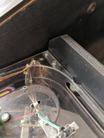 IMG_20200816_115607.jpg