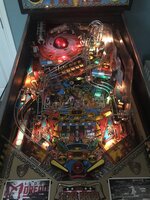 IMG_3842.jpeg