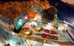 IMG_0833.jpg