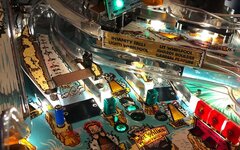 IMG_0834.jpg