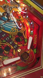 IMG_20200912_141324.jpg