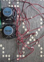 PXL_20200917_165125835.jpg