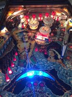 IMG_3607.JPG