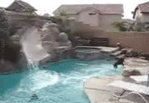 gif dog-slide.gif