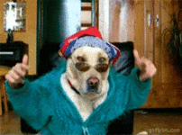 gif rapping-dog.gif