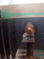 20200920_104803.jpg