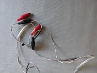 PXL_20200921_085648423.jpg