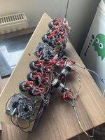 89F6471E-F1E5-4EF3-81FC-822DDC11C223.jpeg