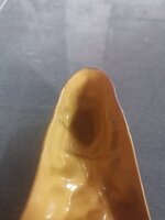 IMG_20201003_130950.jpg
