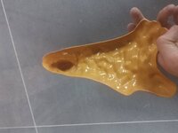 IMG_20201003_130937.jpg