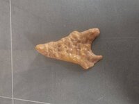 IMG_20201003_130932.jpg