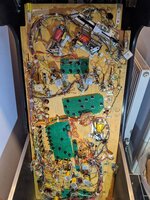 PXL_20201009_165457892.jpg