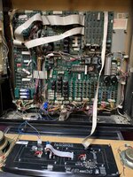 6F605297-D680-415A-9F85-0E53D2D1E0F7.jpeg.jpg