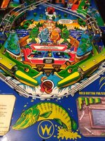 IMG_20201017_153806.jpg