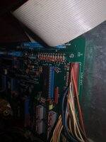 IMG_20201023_105900.jpg