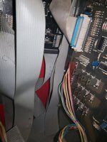 IMG_20201023_105841.jpg
