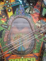 IMG_20201009_134350.jpg