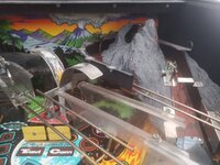 IMG_20201009_134323.jpg