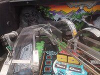 IMG_20201009_134321.jpg