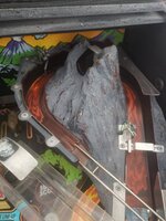 IMG_20201009_134307.jpg