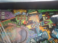IMG_20201009_134259.jpg