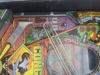 IMG_20201009_134239.jpg