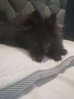 IMG_20200920_075742.jpg