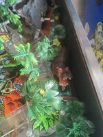IMG_20200718_150222.jpg