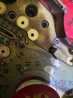 IMG_20201021_170042.jpg