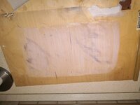 IMG_20201029_170131.jpg