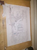 IMG_20201029_170737.jpg