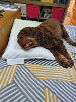 20201101_203520.jpg
