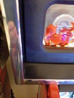 20201120_172501.jpg