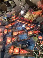 IMG_5341.jpeg
