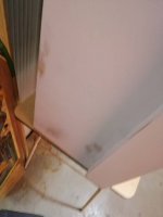 testa colorata4.jpg