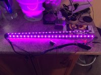 D09DC8AE-1D48-43AD-AE89-FBA02ACB08E0.jpeg