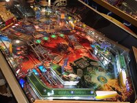 IMG_9915.JPG