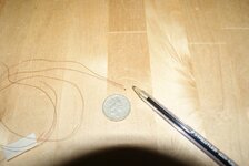 DSC04044.JPG DSC04044.JPG