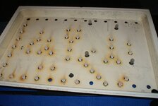 DSC04032.JPG DSC04032.JPG