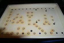 DSC04036.JPG DSC04036.JPG