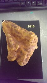 2015-02-09 14.42.31.jpg