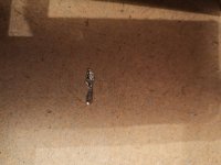 IMG_20210214_163434.jpg