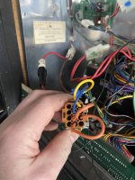 IMG_0895(1).JPEG
