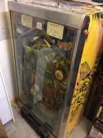 IMG_8919.jpeg